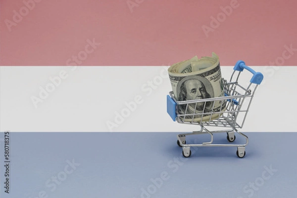 Fototapeta Metal shopping basket with dollar money banknote on the national flag of netherlands background. consumer basket concept. 3d illustration