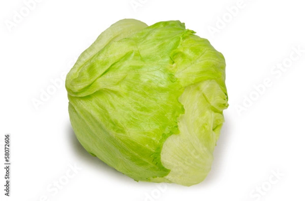 Fototapeta lettuce