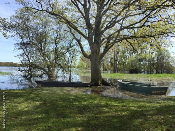 Obraz Marais de la goulaine