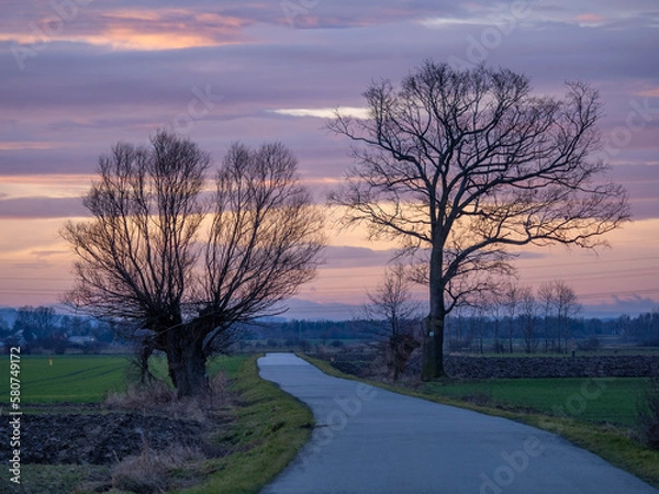 Obraz sunset in the morning