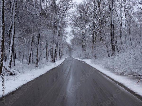 Obraz road in winter forest