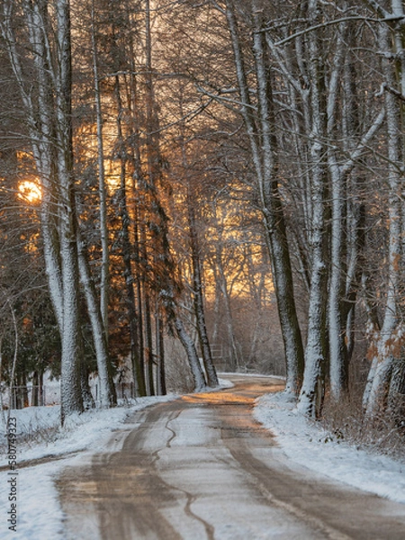 Obraz road in winter forest