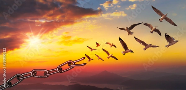 Fototapeta World freedom day concept, bird flying and broken chains at sky sunset background