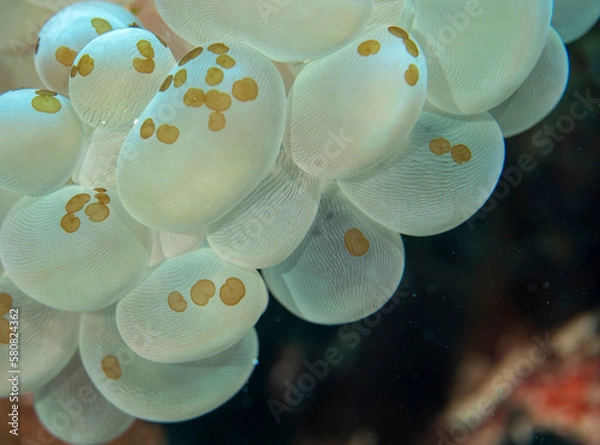 Obraz OLYMPUS DIGITAL CAMERA