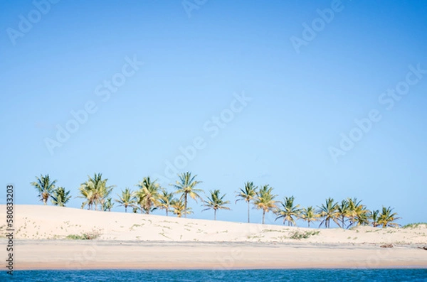 Obraz Foz do Rio São Francisco