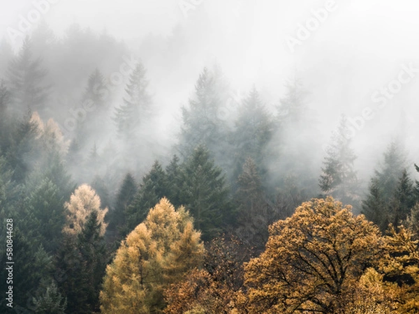 Fototapeta Cloudy foggy autumn forest from above