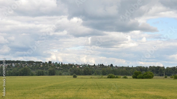 Obraz landscape with trees