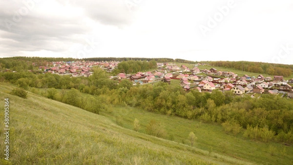 Obraz field of flowers