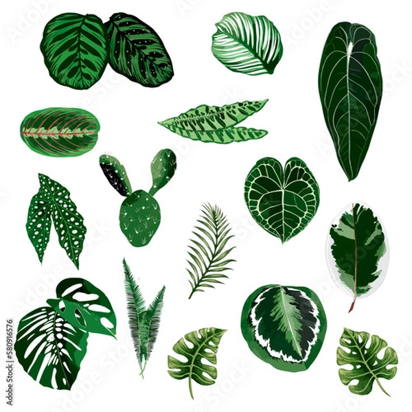 Fototapeta Tropical leaves collection. Hand drawn watercolor vector illustration isolated elements on the white background