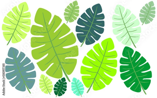 Fototapeta Tropical leaves collection. Vector isolated element on white background. Tropical leaf wallpaper, luxury nature leaf pattern design, hand drawn outline design for fabric
