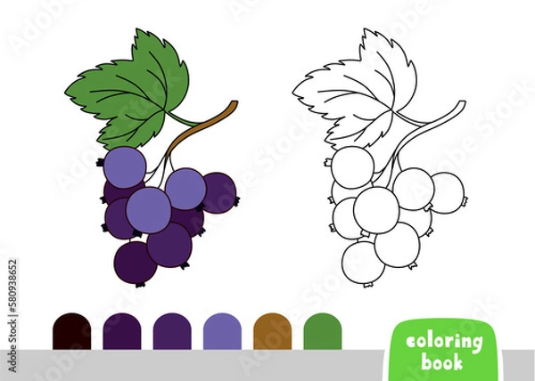 Obraz Coloring Book for Children Black Currant Page for books Magazines Coloring Vector Illustration