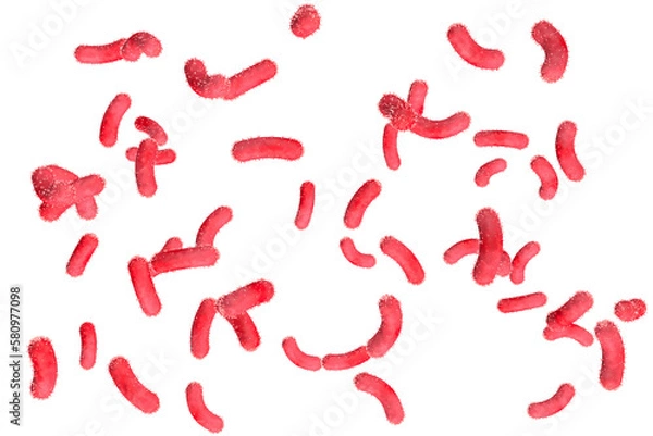 Obraz Bacteria are falling on a transparent png background. 3D render. Scientific concept.	