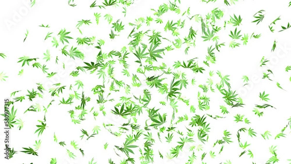 Obraz Cannabis leaves on a transparent background in PNG format. Effect made of marijuana leaves. 3D render	