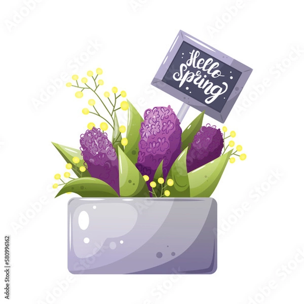 Fototapeta Vector collection of spring bouquet. Cute floral greeting cups with hello spring inscription. Spring isolated vector illustration with a mug and a bouquet of hyocinths.