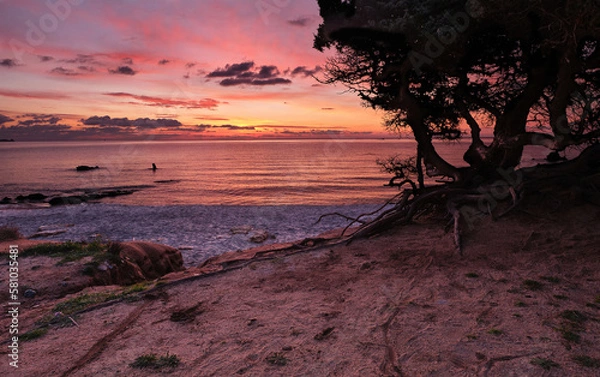 Obraz Sunrise with juniper in Cava Usai beach, Capo Carbonara, Villasimius, Sardinia