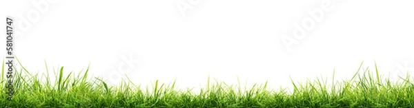 Obraz Hi Resolution image of Fresh green grass isolated against a transparent background