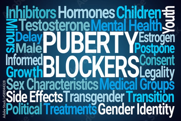 Obraz Puberty Blockers Word Cloud on Blue Background