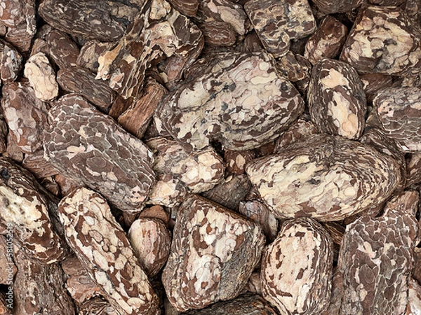 Fototapeta Natural background. Background of crushed tree bark. Abstract background. Mulch. Eco-friendly material. View from above. The background is made of natural wood. Copy space