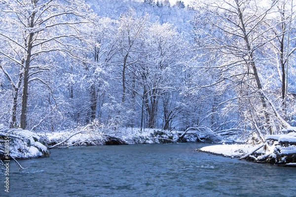 Obraz 初冬の美瑛川