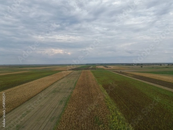 Obraz Field