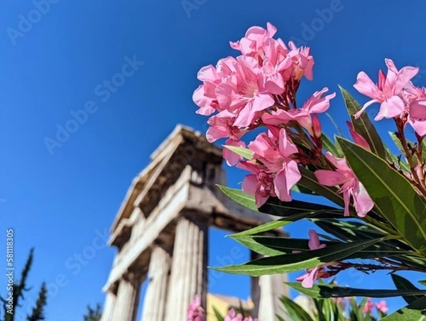 Obraz Blume vor Tempel