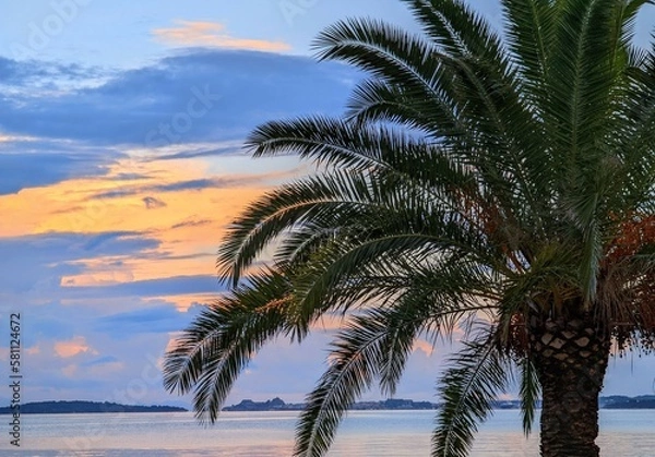 Obraz Palme am Strand