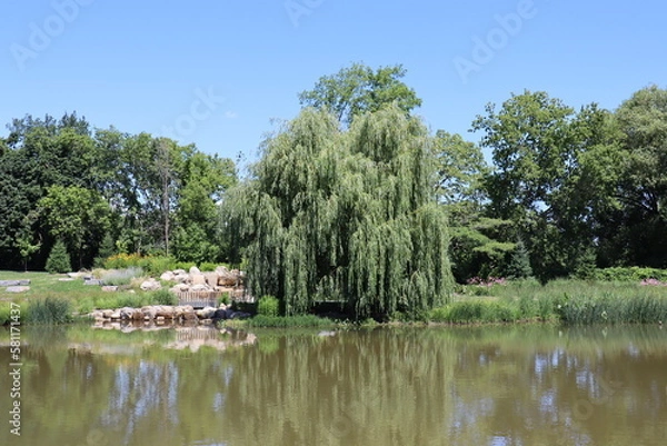 Obraz Flowers all over the world