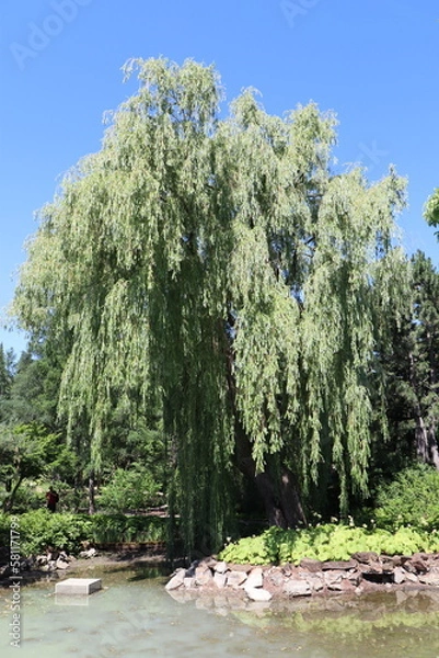 Obraz Flowers all over the world