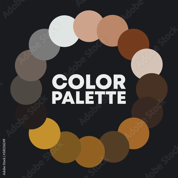 Obraz Color circle. Color combinations. Vector illustration