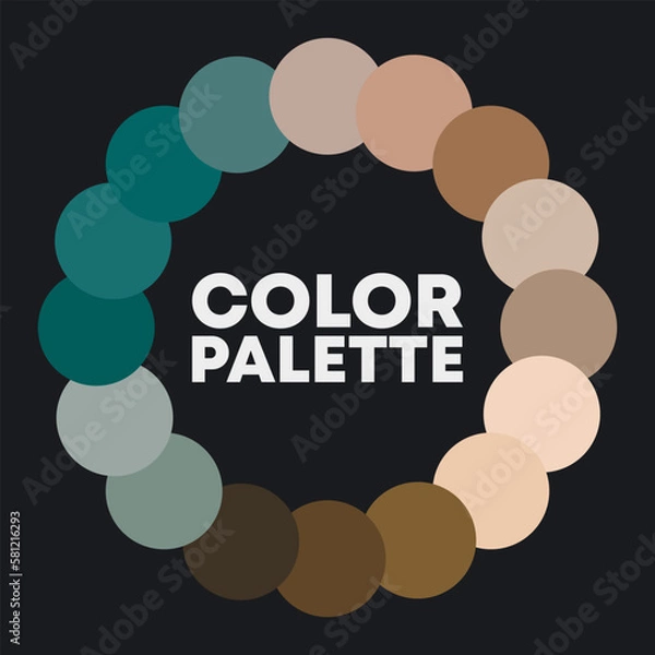 Fototapeta Color circle. Color combinations. Vector illustration