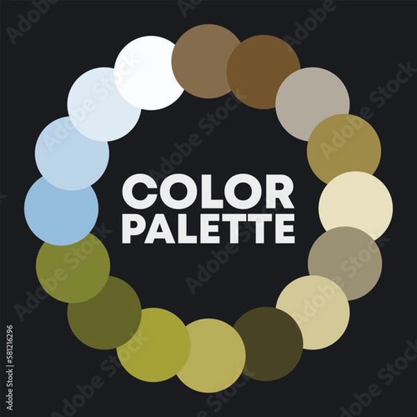 Fototapeta Color circle. Color combinations. Vector illustration
