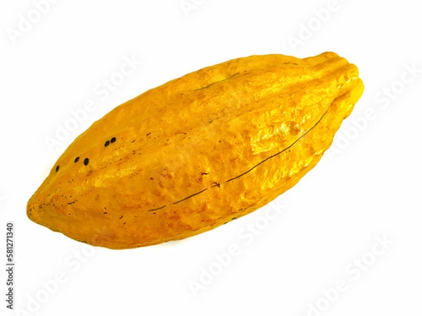Obraz cocoa fruit on a white background