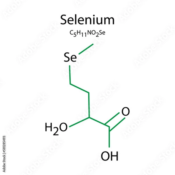 Fototapeta Selenium formula. Line drawing. Vector illustration.
