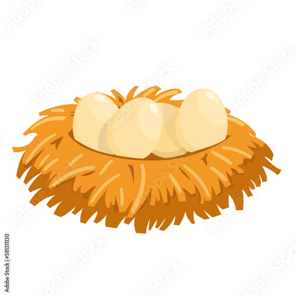 Obraz four chicken eggs in nest