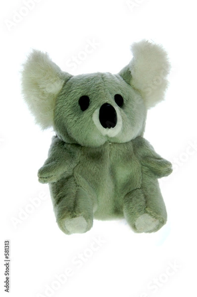 Obraz koala bear