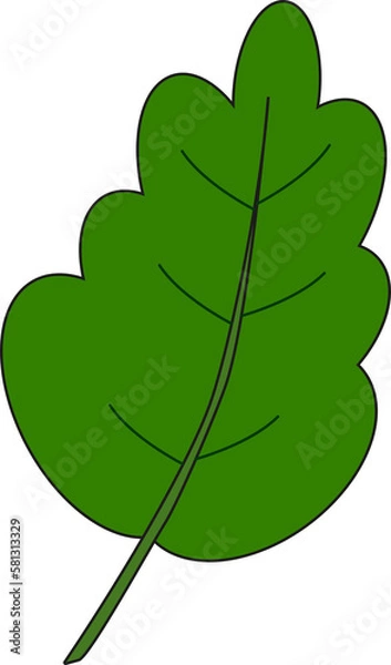 Obraz green leaf illustration with isolate background