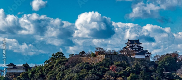 Obraz 国宝彦根城
