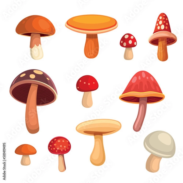 Fototapeta Cartoon Style Mushrooms Set on White Background. Vector