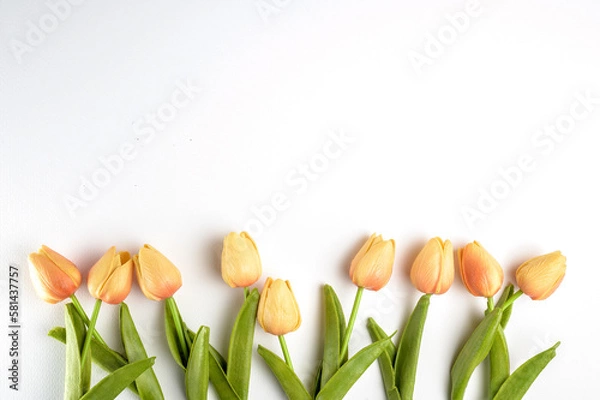 Fototapeta Tulips