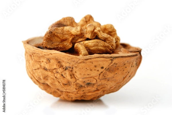 Obraz Open Walnut side view