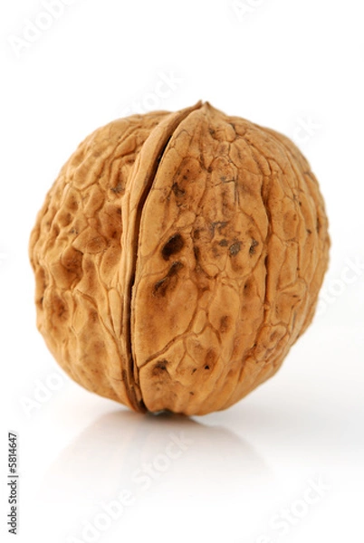 Obraz Walnut