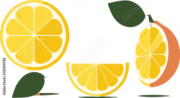 Fototapeta lemons vector for illustrations, 2d minimalist