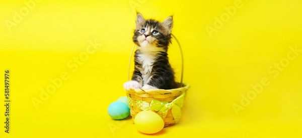 Obraz Happy Easter. playful striped kitten in a basket with colorful easter eggs on yellow background. Happy Easter banner with copy space for text