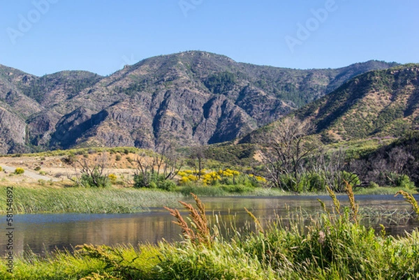 Fototapeta a pond in Ojai, California, with lush landscape surrounding the waters edge and mountains in the background.