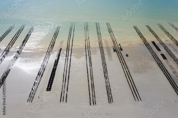 Obraz Parc à moules Berck-sur-Mer