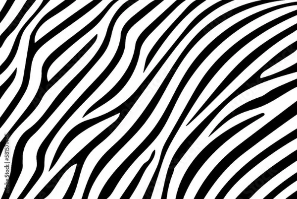 Fototapeta Zebra skin pattern.  Template for design in black and white colors.