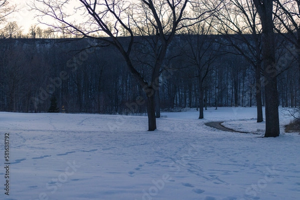 Obraz winter in the park