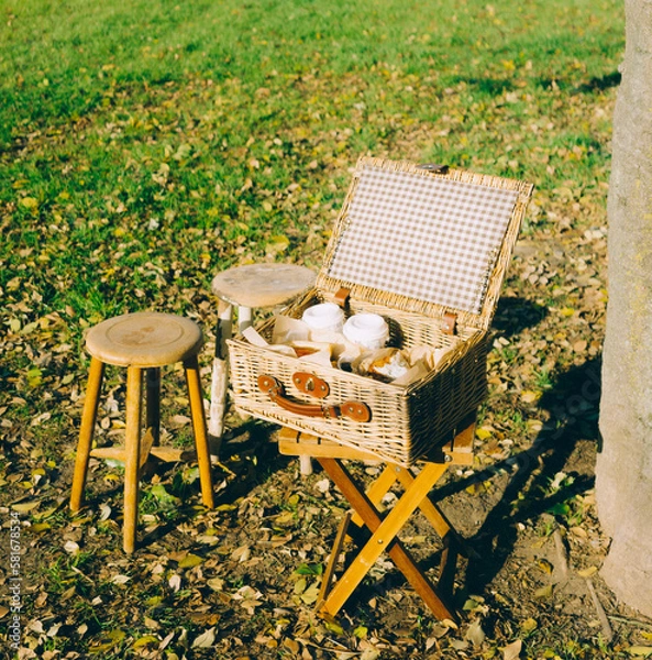 Obraz ピクニック　イメージ　おしゃれ