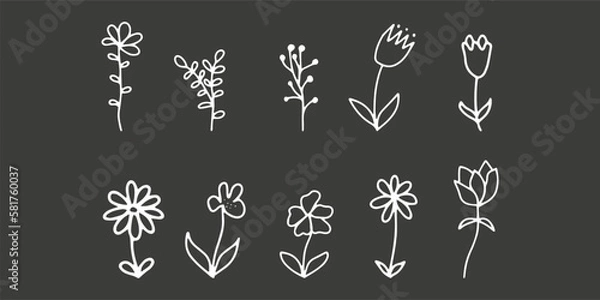 Fototapeta Doodle flowers. Set with outline flora , simple shapes. Vector illustration isolated on white background