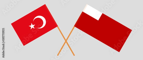 Obraz Crossed flags of Turkiye and Abu Dhabi. Official colors. Correct proportion